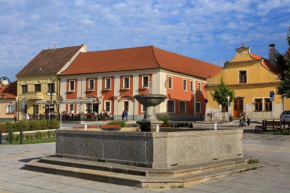 Гостиница Hotel Panská  Бехыне